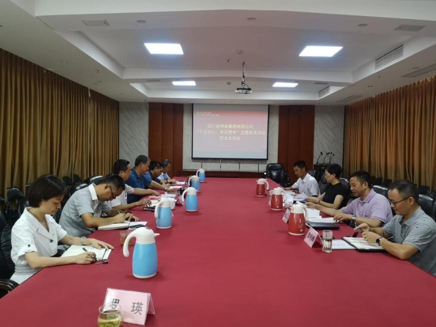 集團(tuán)公司召開“不忘初心、牢記使命”主題教育活動(dòng)民主生活會(huì)