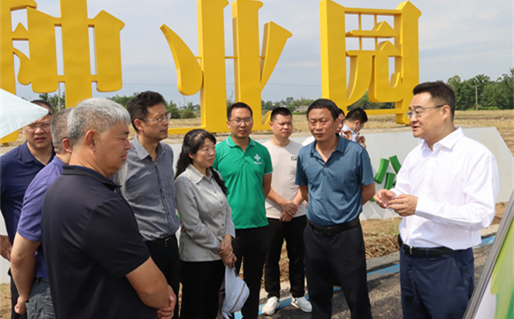省人大農(nóng)業(yè)農(nóng)村委調研組調研集團青白江種植基地