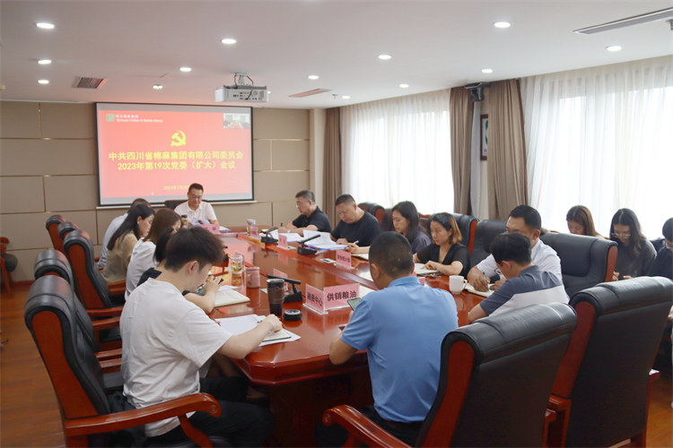 集團(tuán)公司召開2023年第19次黨委（擴大）會議