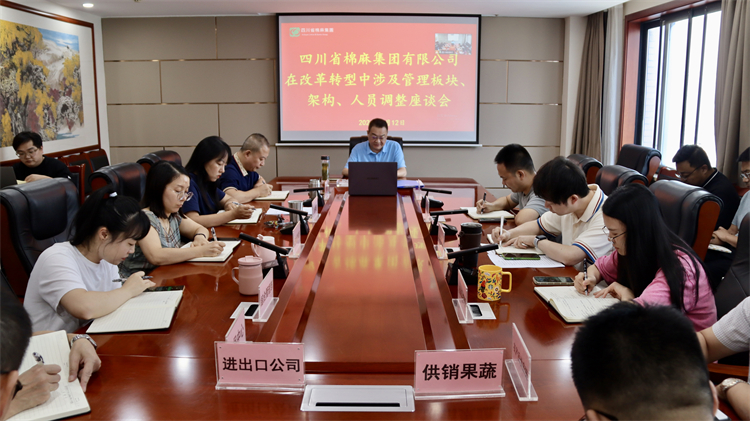 集團公司召開在改革轉(zhuǎn)型中涉及管理板塊、架構(gòu)、人員調(diào)整座談會