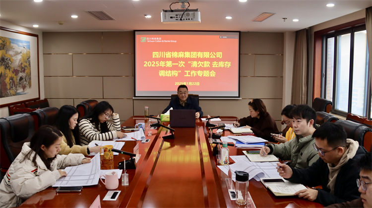 集團公司召開2025年第一次“清欠款、去庫存、調(diào)結(jié)構(gòu)”工作專題會